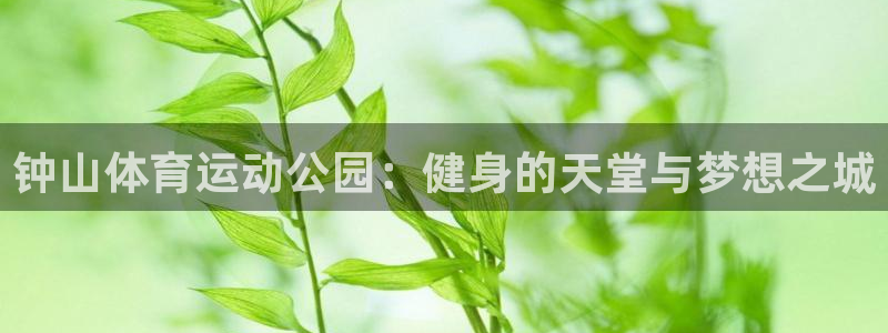 球王会体育：钟山体育运动公园：健身的天堂与梦想之城