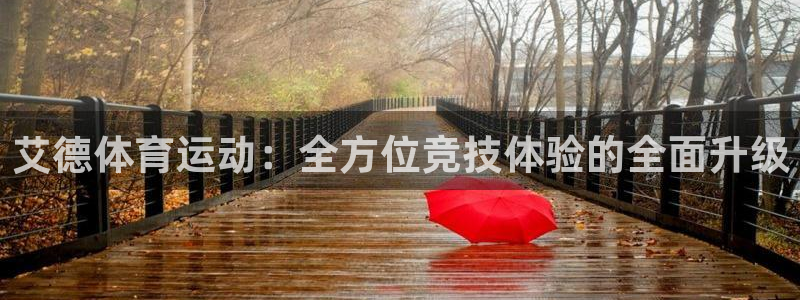 球王会体育：艾德体育运动：全方位竞技体验的全面升级