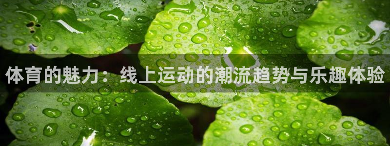 球王会体育：体育的魅力：线上运动的潮流趋势与乐趣体验
