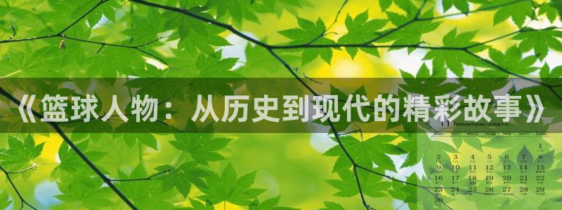 球王会体育：《篮球人物：从历史到现代的精彩故事》