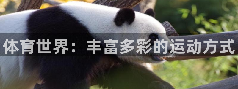 球王会体育：体育世界：丰富多彩的运动方式