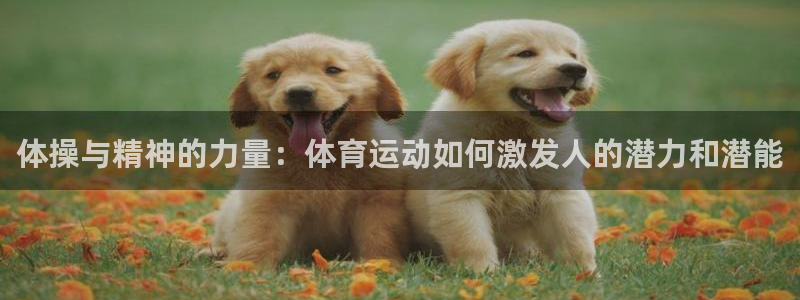 球王会体育：体操与精神的力量：体育运动如何激发人的潜力和潜能
