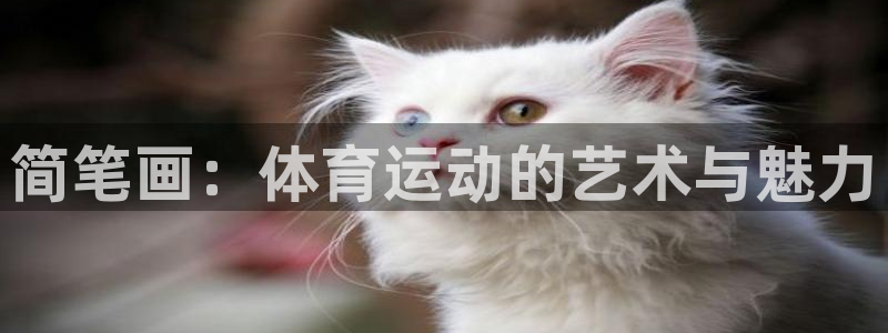 球王会体育：简笔画：体育运动的艺术与魅力
