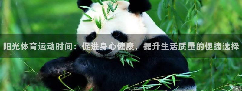 球王会体育：阳光体育运动时间：促进身心健康，提升生活质量的便捷选择