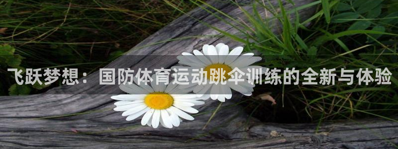 球王会体育：飞跃梦想：国防体育运动跳伞训练的全新与体验