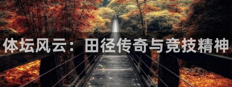 球王会体育：体坛风云：田径传奇与竞技精神