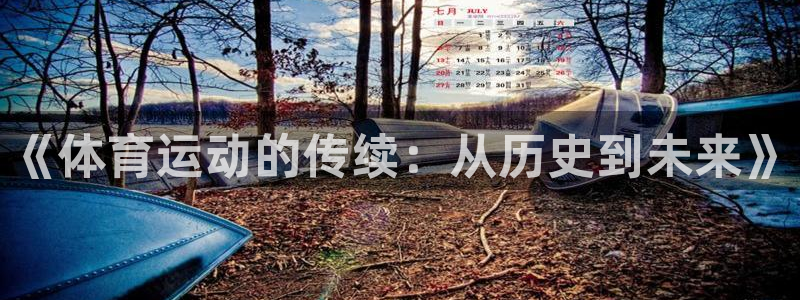 球王会体育：《体育运动的传续：从历史到未来》