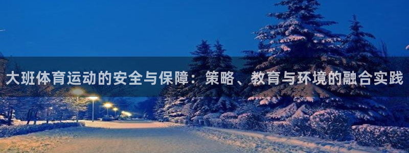 球王会体育：大班体育运动的安全与保障：策略、教育与环境的融合实践