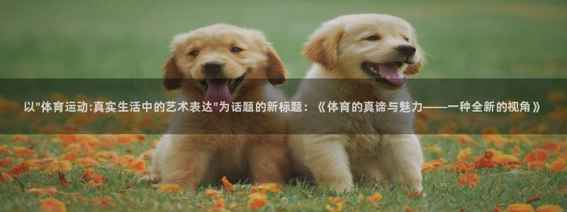 球王会体育：以\
